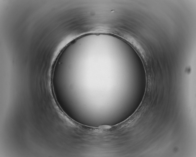 X0000097981480200804071111