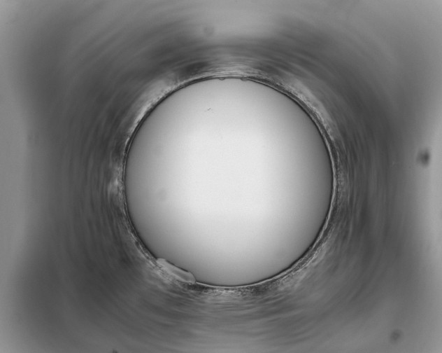 X0000097981481200804071111