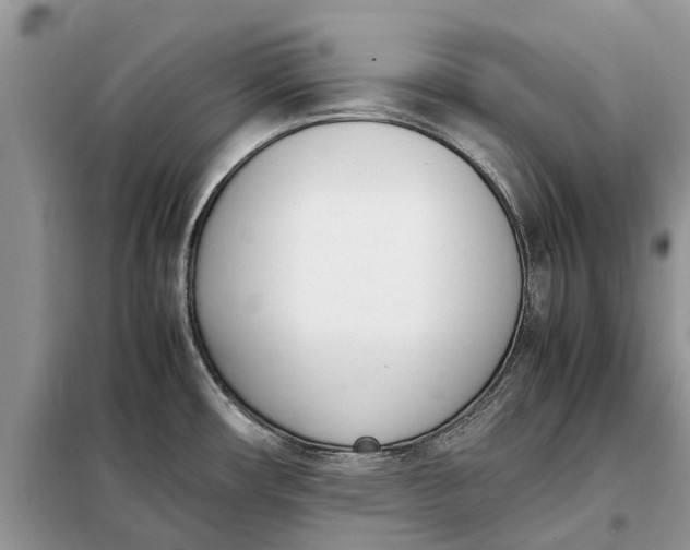 X0000097981482200804071111