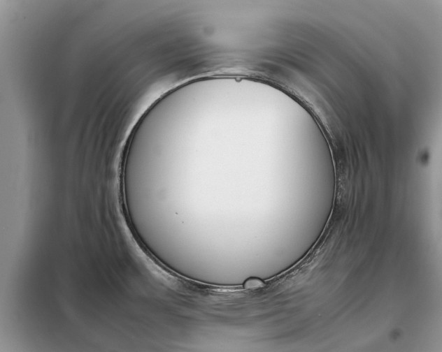 X0000097981483200804071111