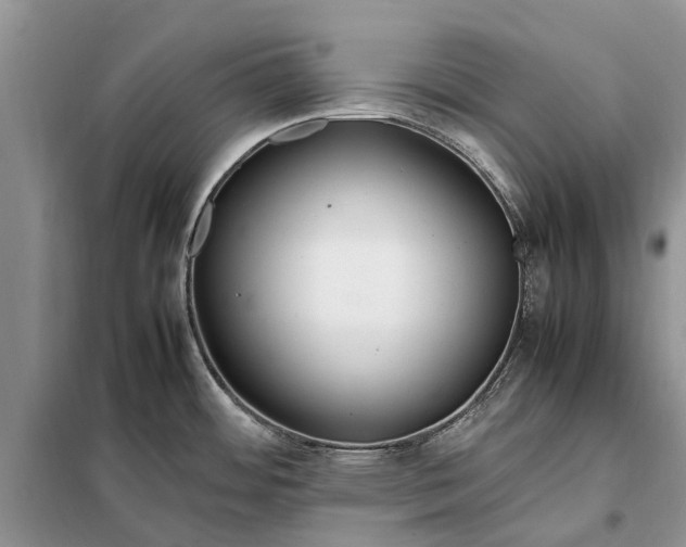 X0000097981484200804071111