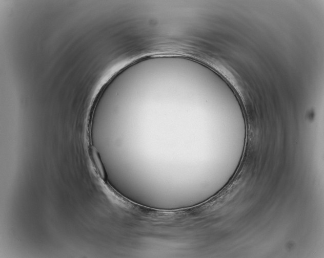 X0000097981485200804071111