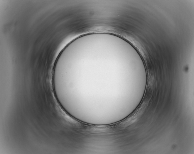 X0000097981486200804071111