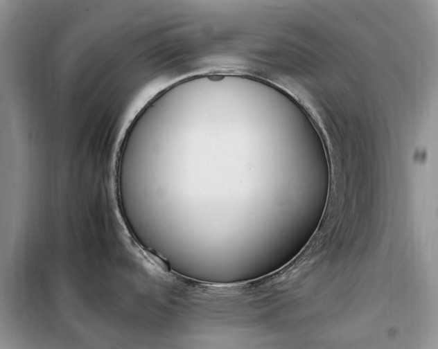 X0000097981488200804071111