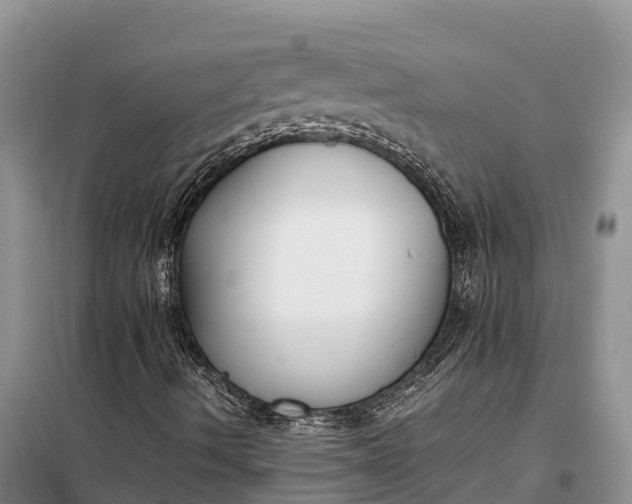 X0000097981490200804071110