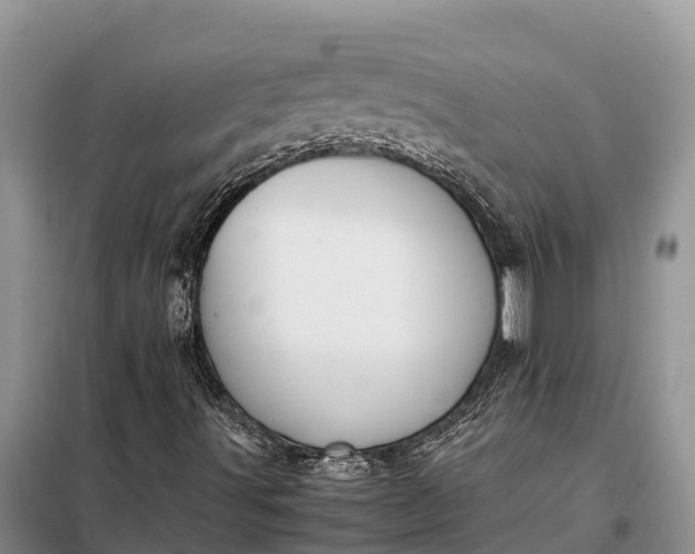 X0000097981491200804071110