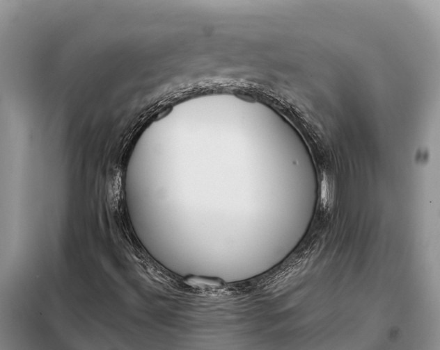 X0000097981492200804071110