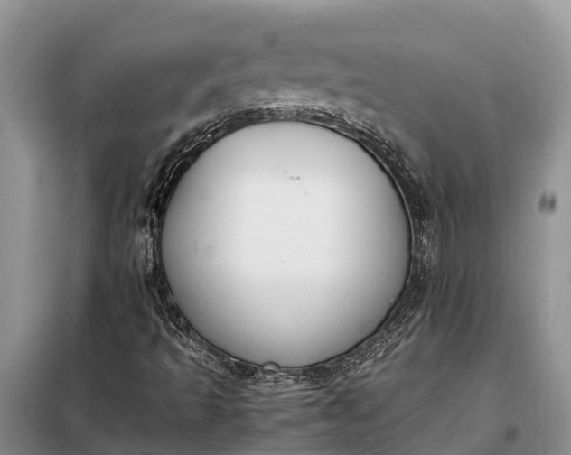 X0000097981493200804071111