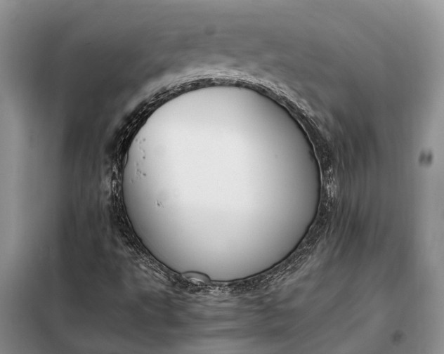 X0000097981495200804071111