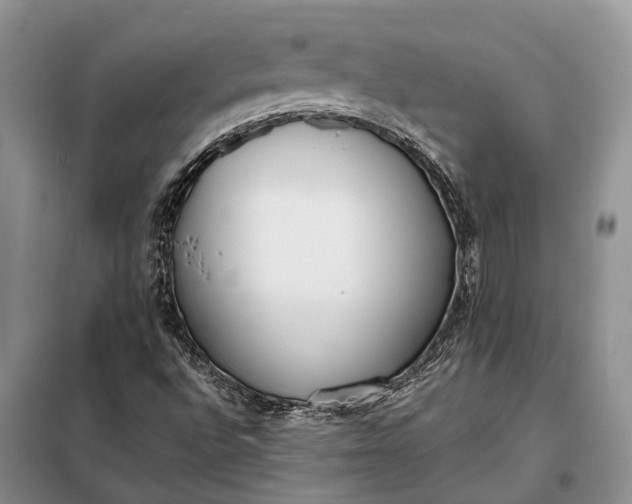 X0000097981496200804071111