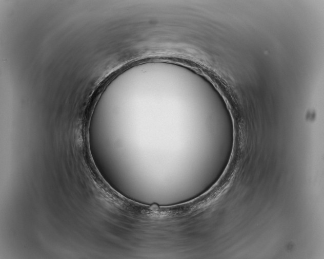 X0000097981497200804071111