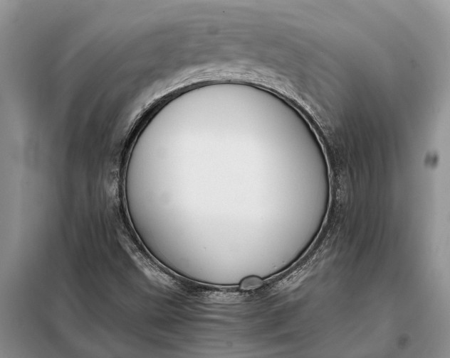 X0000097981499200804071111