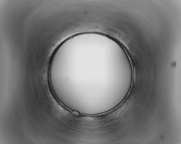 X0000097981500200804071111