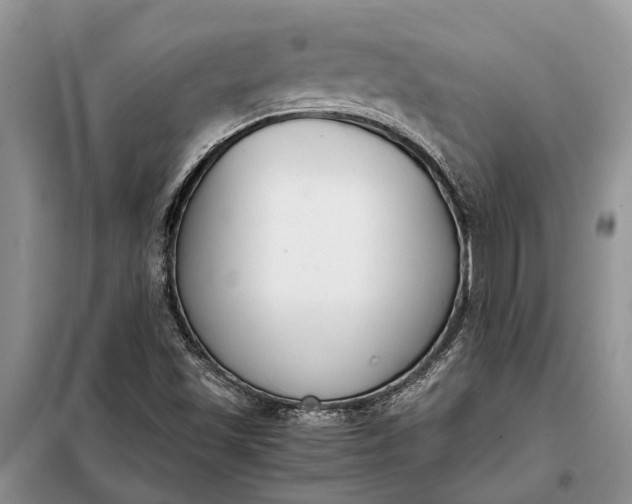X0000097981501200804071111