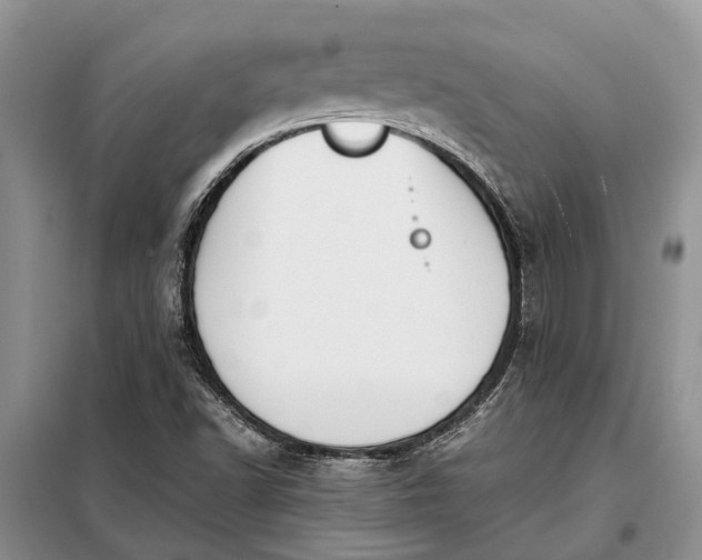 X0000097981502200804071111