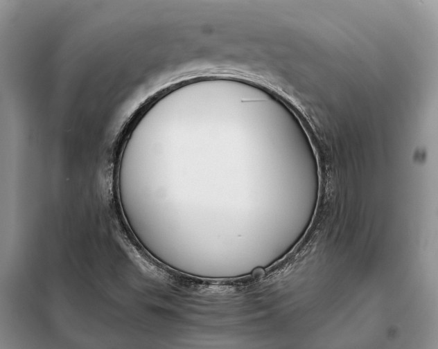 X0000097981503200804071111
