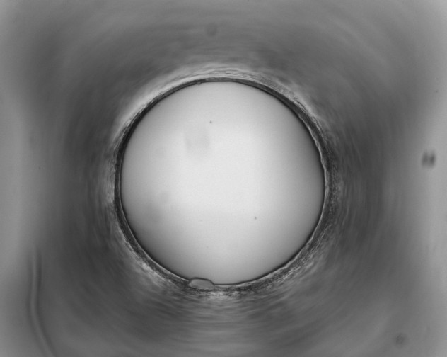 X0000097981504200804071111