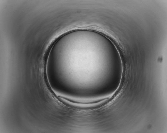X0000097981506200804071111