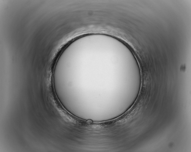 X0000097981507200804071111