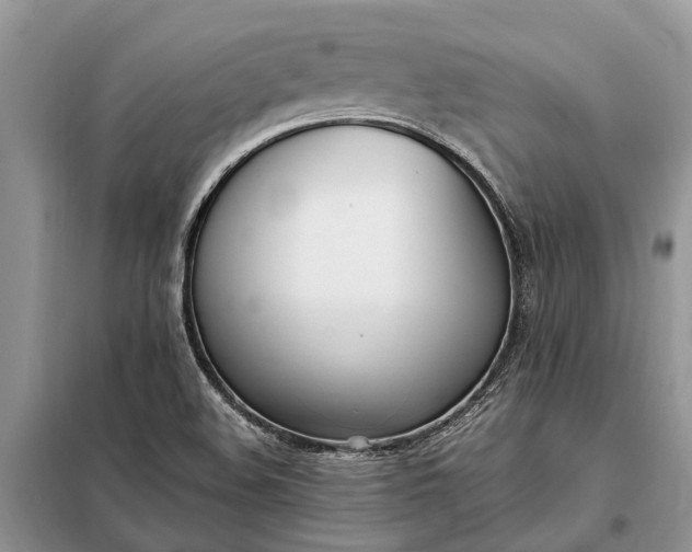 X0000097981508200804071111