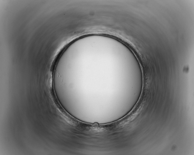 X0000097981509200804071111