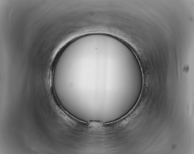 X0000097981510200804071111