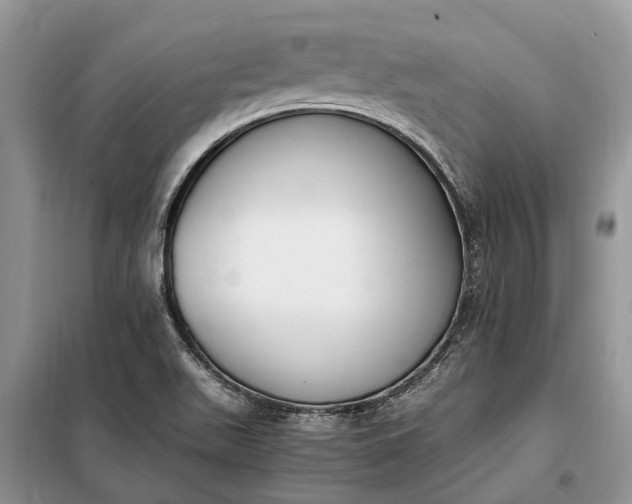 X0000097981511200804071111