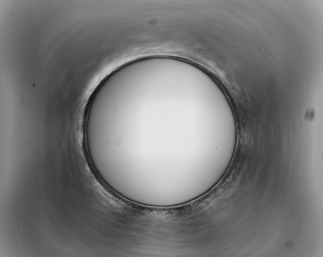 X0000097981512200804071111
