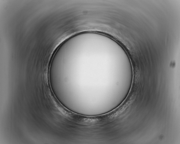 X0000097981513200804071111