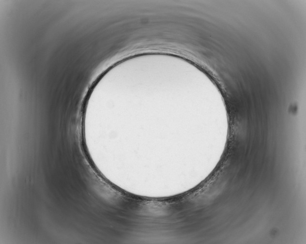 X0000097981514200804071111