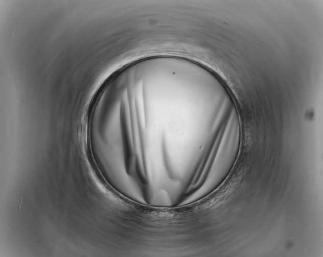 X0000097981515200804071111