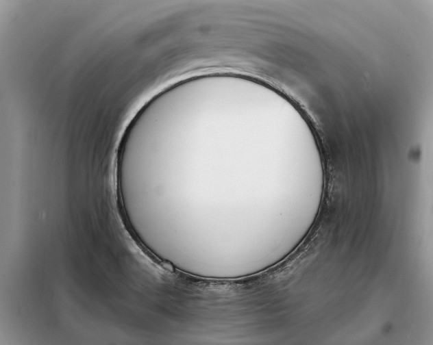 X0000097981516200804071111