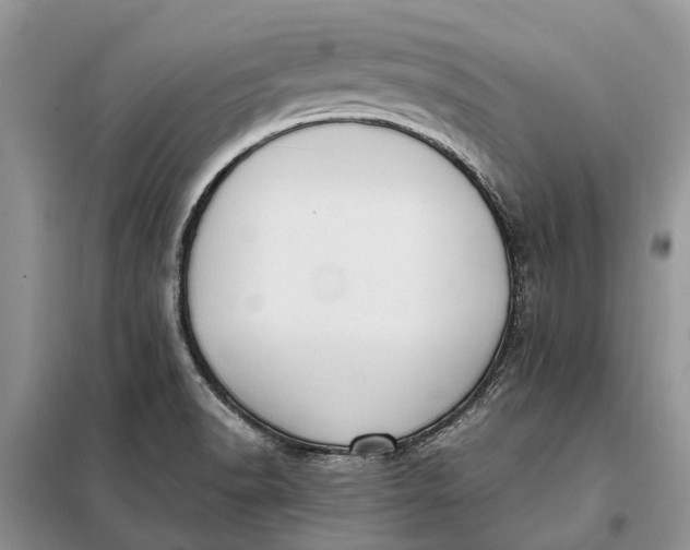 X0000097981518200804071111