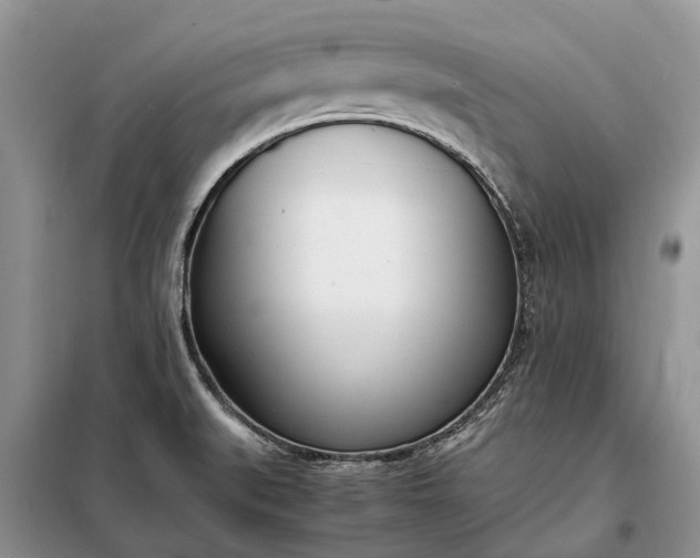 X0000097981519200804071111