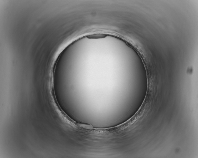 X0000097981520200804071111