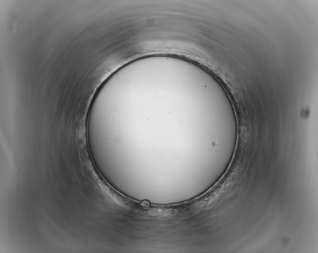 X0000097981521200804071111