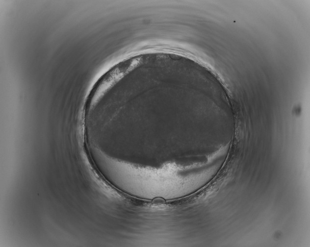 X0000097981522200804071111