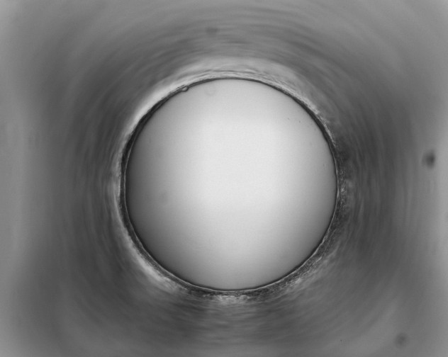 X0000097981523200804071111