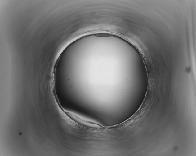 X0000097981524200804071111