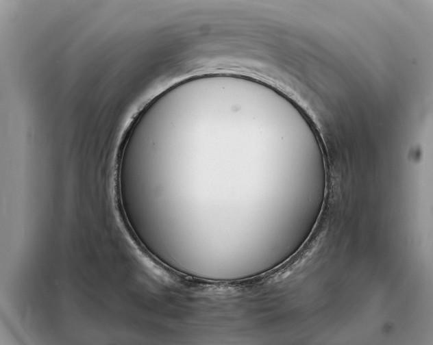 X0000097981525200804071111