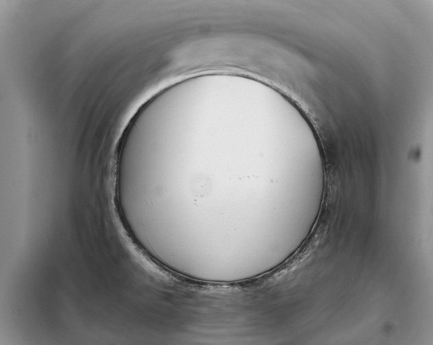 X0000097981526200804071111