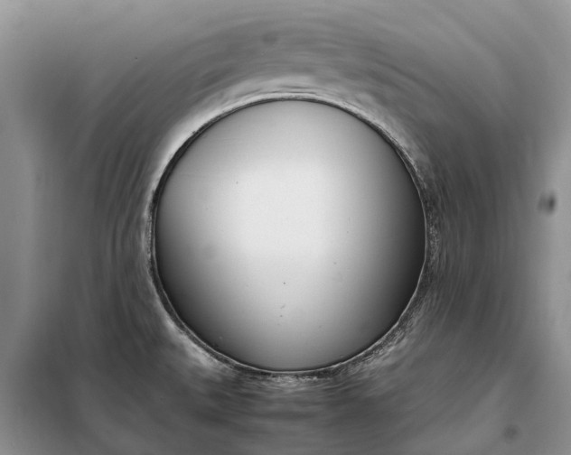 X0000097981527200804071111