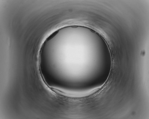X0000097981528200804071111