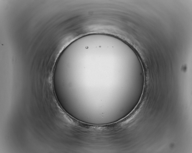 X0000097981529200804071111