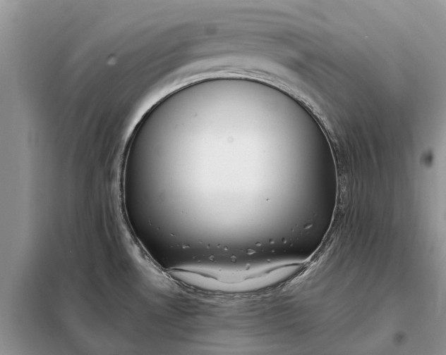 X0000097981530200804071111