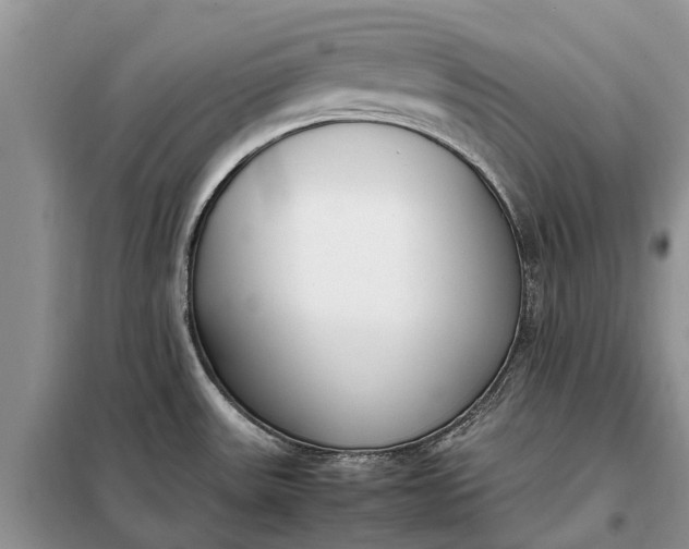 X0000097981531200804071111