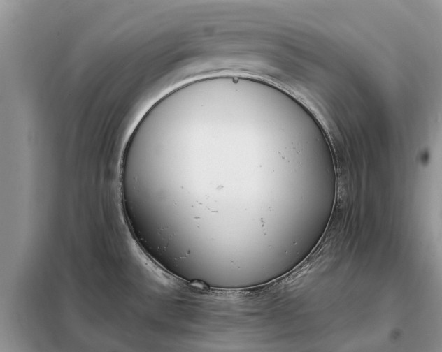 X0000097981532200804071111