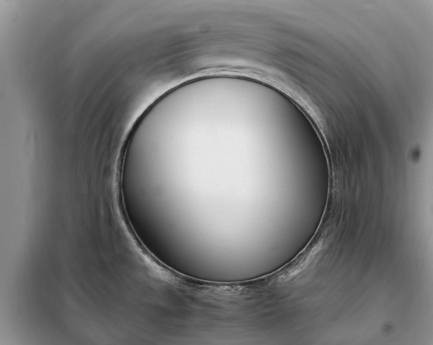 X0000097981533200804071111