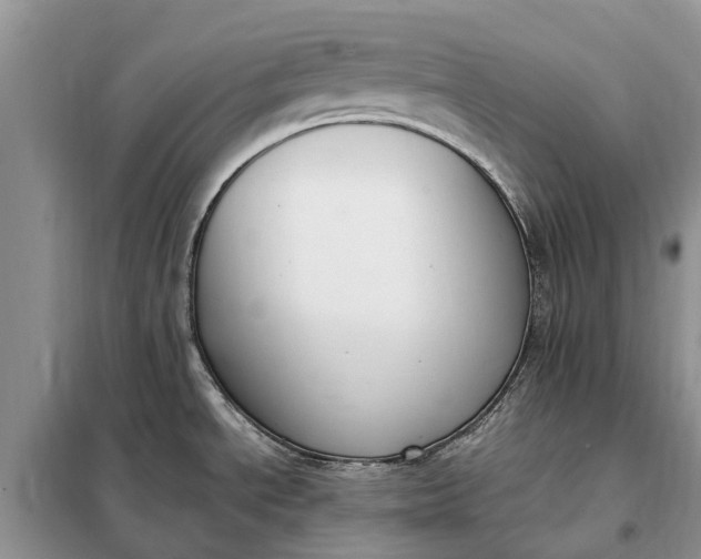 X0000097981534200804071111