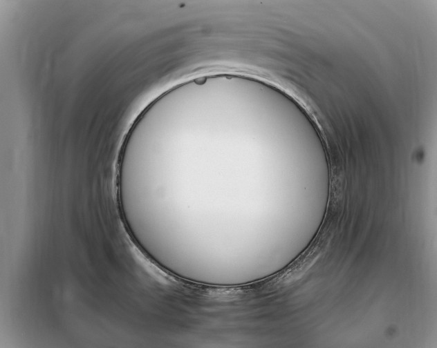 X0000097981535200804071111